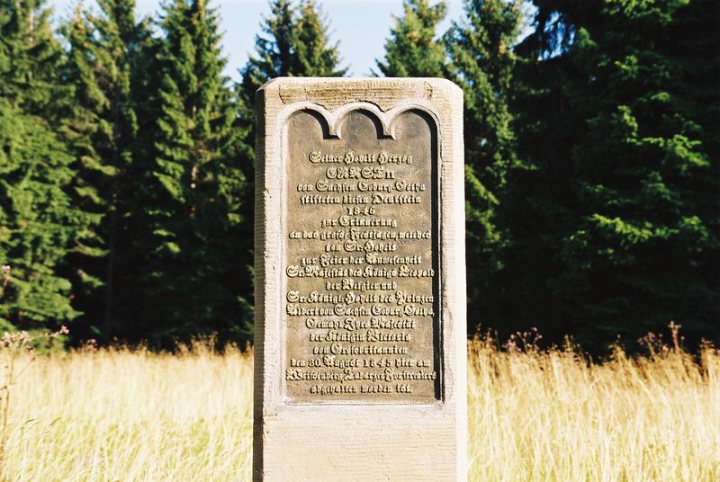 Auf der Tanzbuche bei Friedrichroda