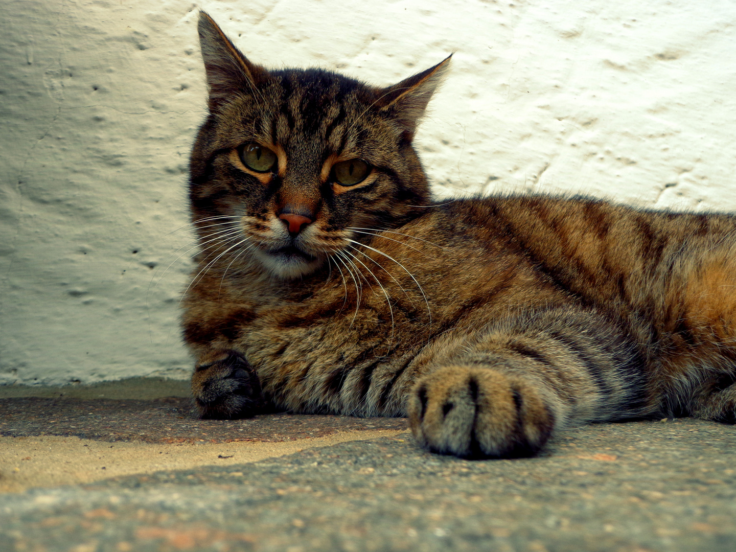 Auf der Terrasse