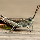 Auf der Terrasse