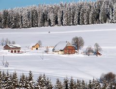 Auf der Thurnerspur