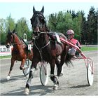 Auf der Trabrennbahn in Salzburg