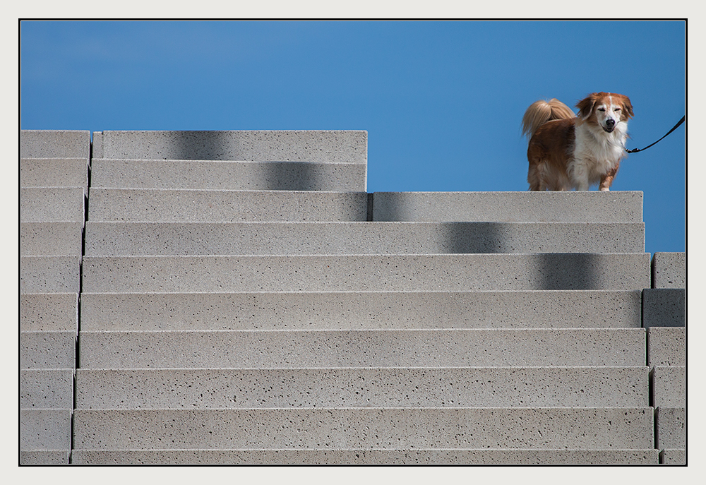 auf der Treppe