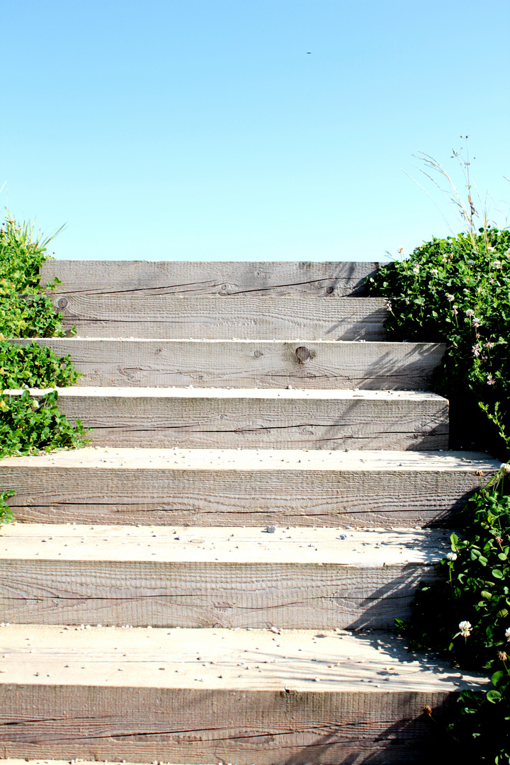 Auf der Treppe zum Paradies, werden dir einige Steine in den Weg gelegt werden.