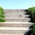 Auf der Treppe zum Paradies, werden dir einige Steine in den Weg gelegt werden.