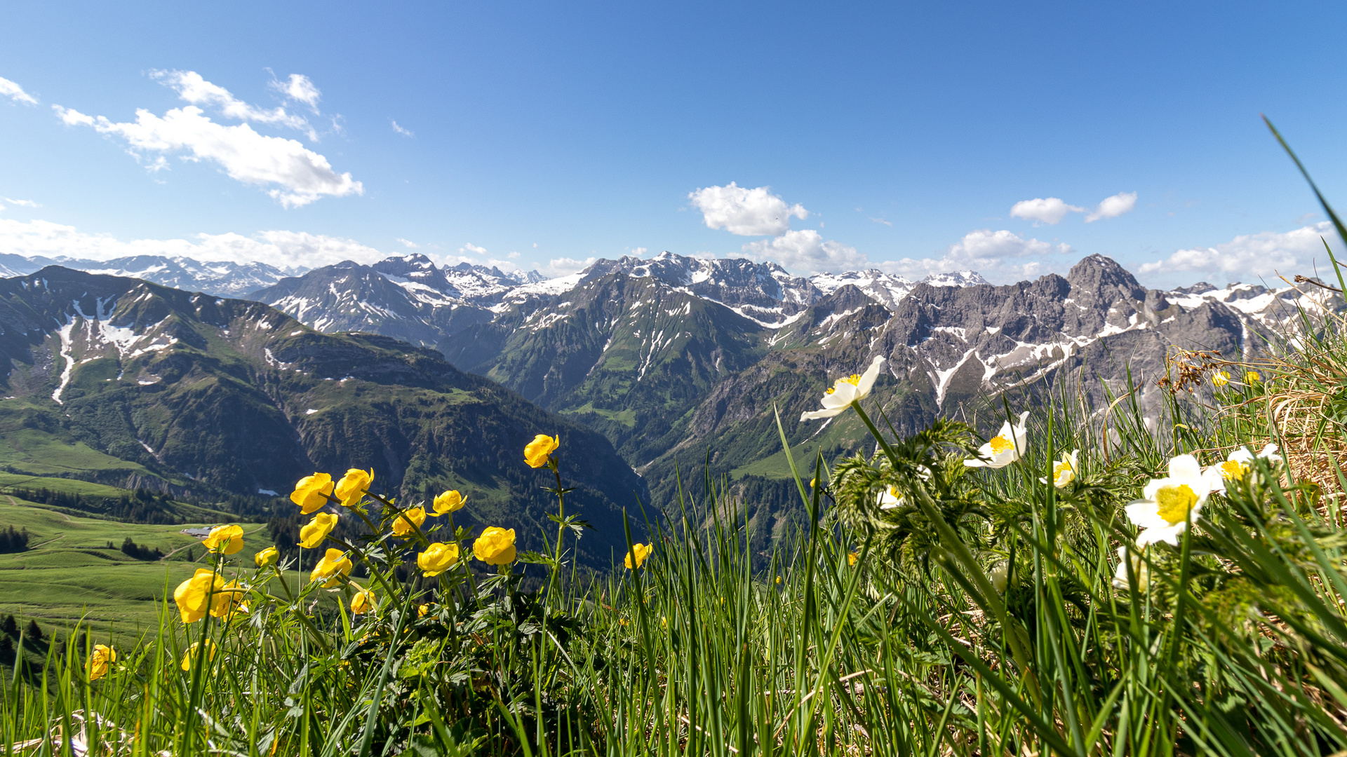 auf der Üntschenspitze 2135 m 