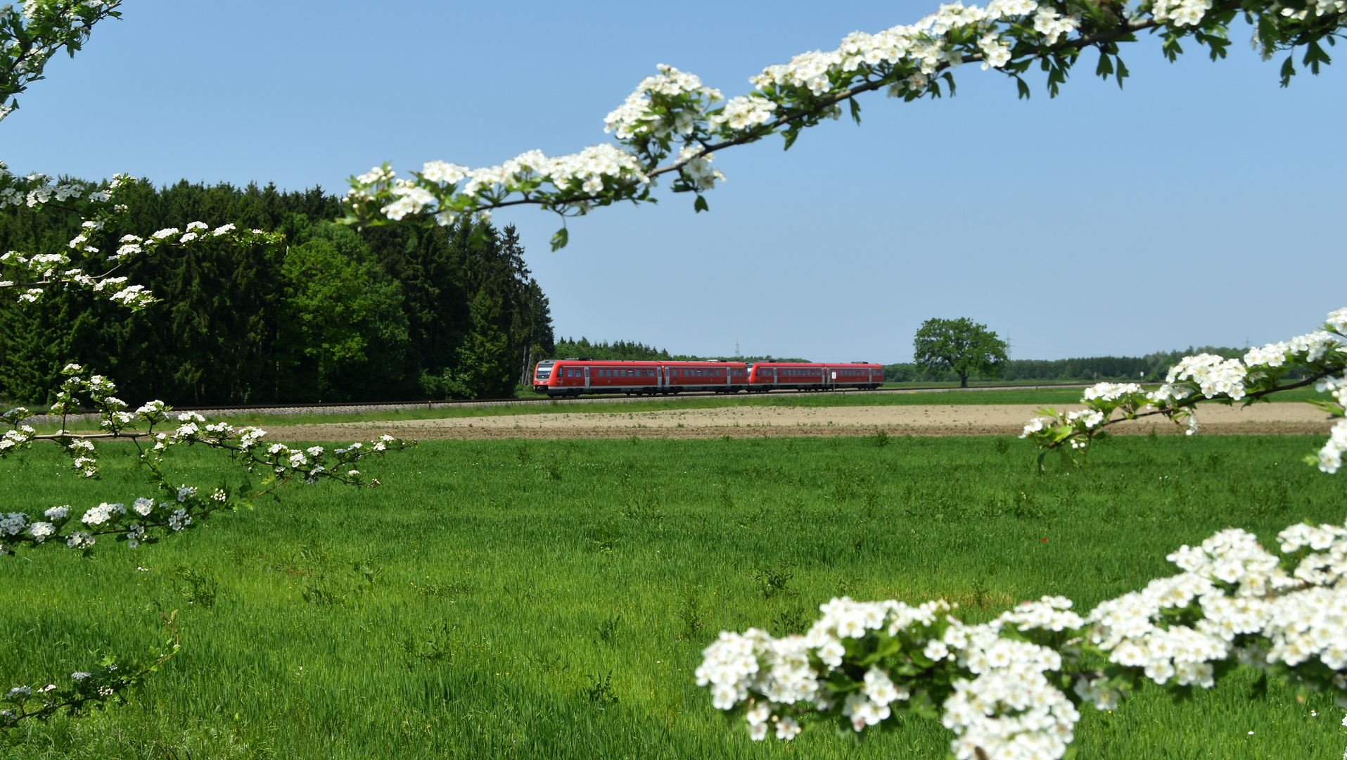 Auf der "Unteren Allgäubahn" bei Lindenberg 27.5.2023