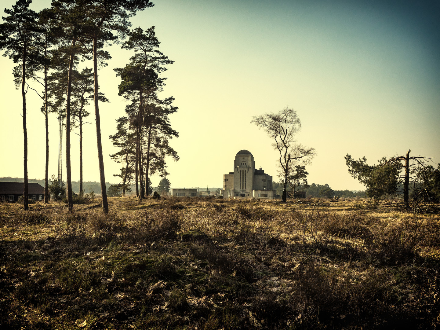 Auf der Veluwe, die grosse stille Heide Teil 1