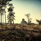 Auf der Veluwe, die grosse stille Heide Teil 1