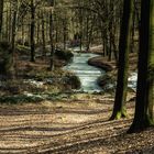 Auf der Veluwe, die grosse stille Heide    Teil 10.