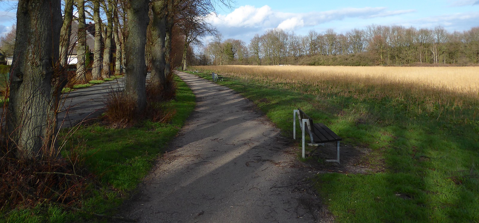 Auf der (vergeblichen) Suche nach dem Frühling: