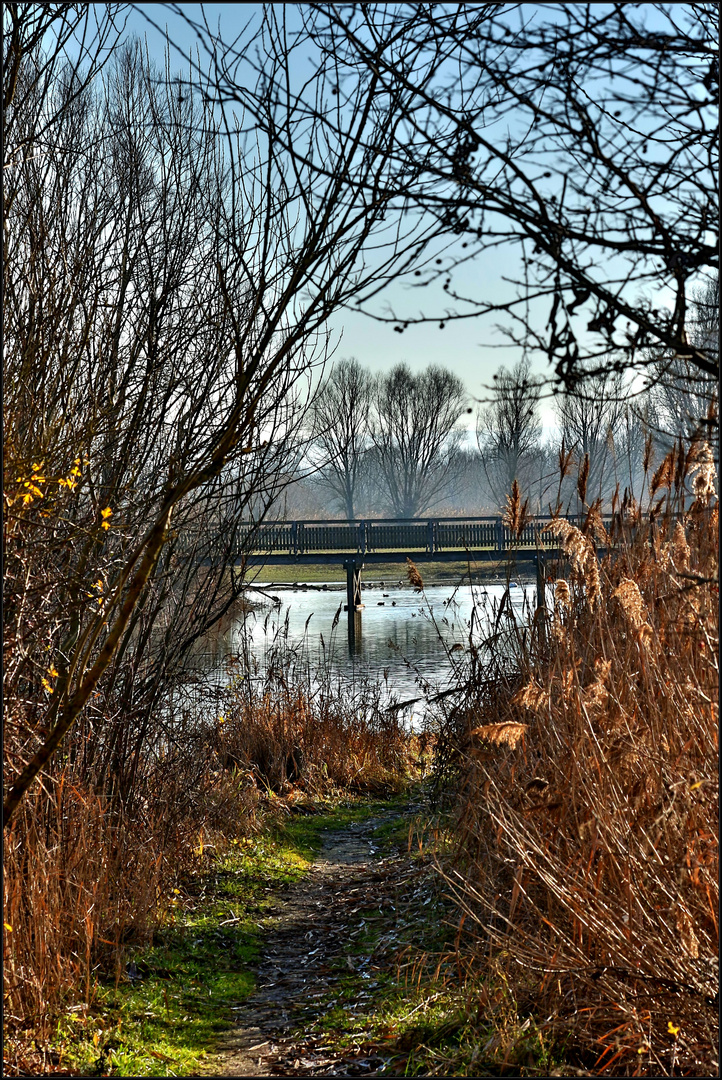 "Auf der Vogelinse, der Hornissen - Pfadl" (Altmühlsee)