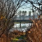 "Auf der Vogelinse, der Hornissen - Pfadl" (Altmühlsee)