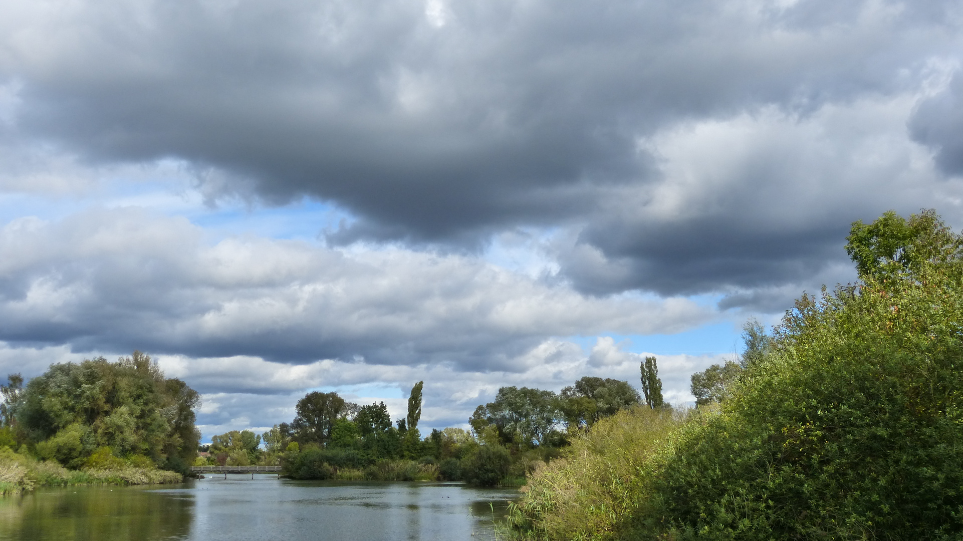 auf der Vogelinsel  