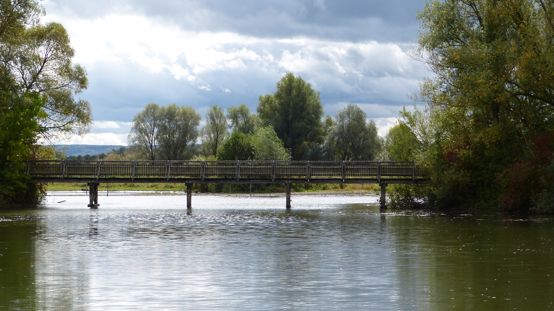 auf der Vogelinsel  