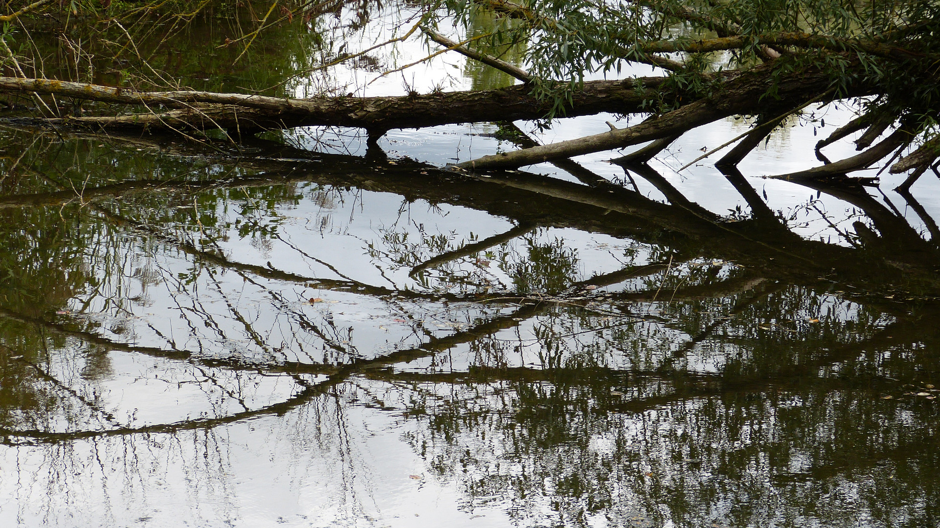 auf der Vogelinsel  