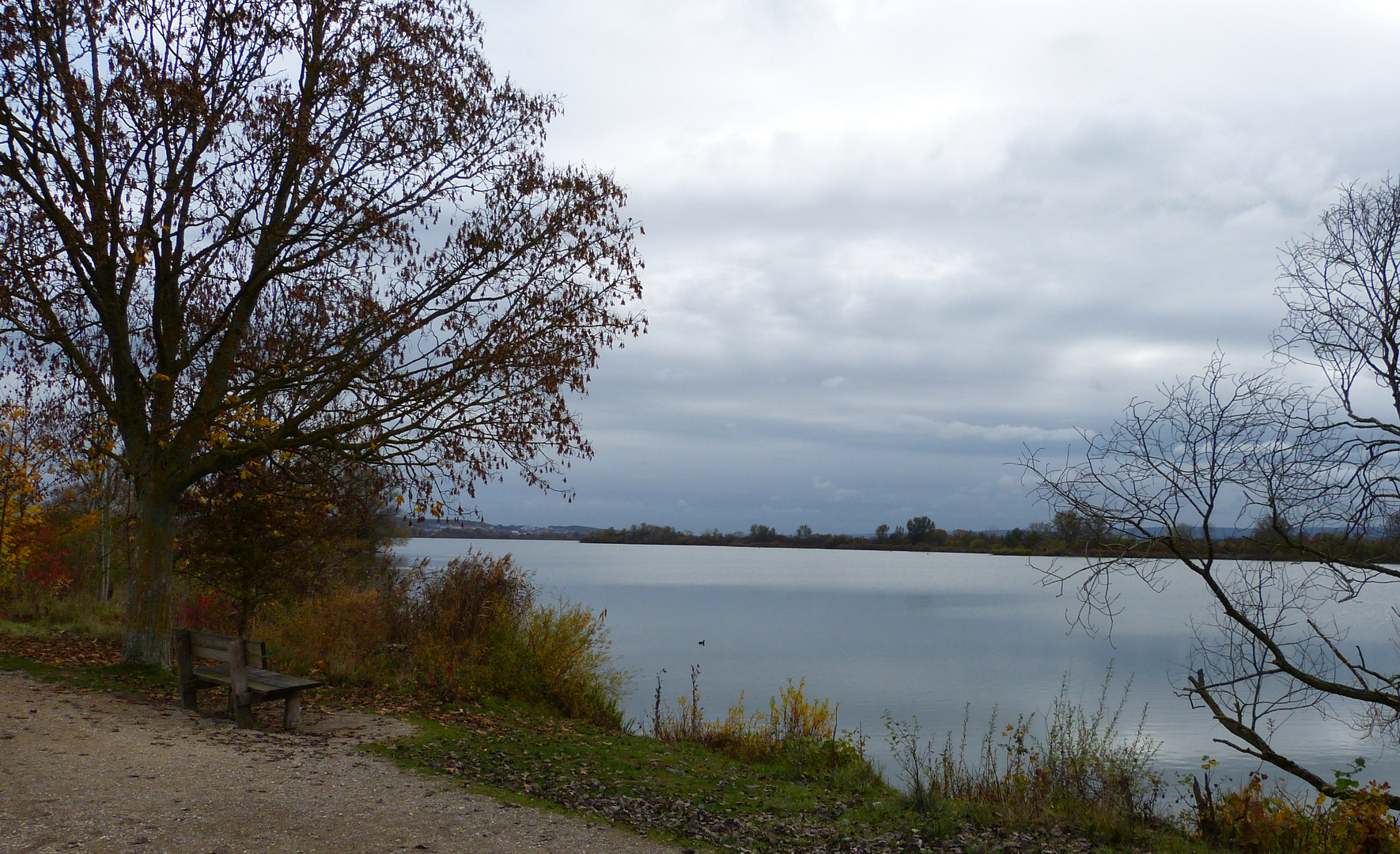 auf der Vogelinsel  