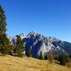 auf der Walderalm