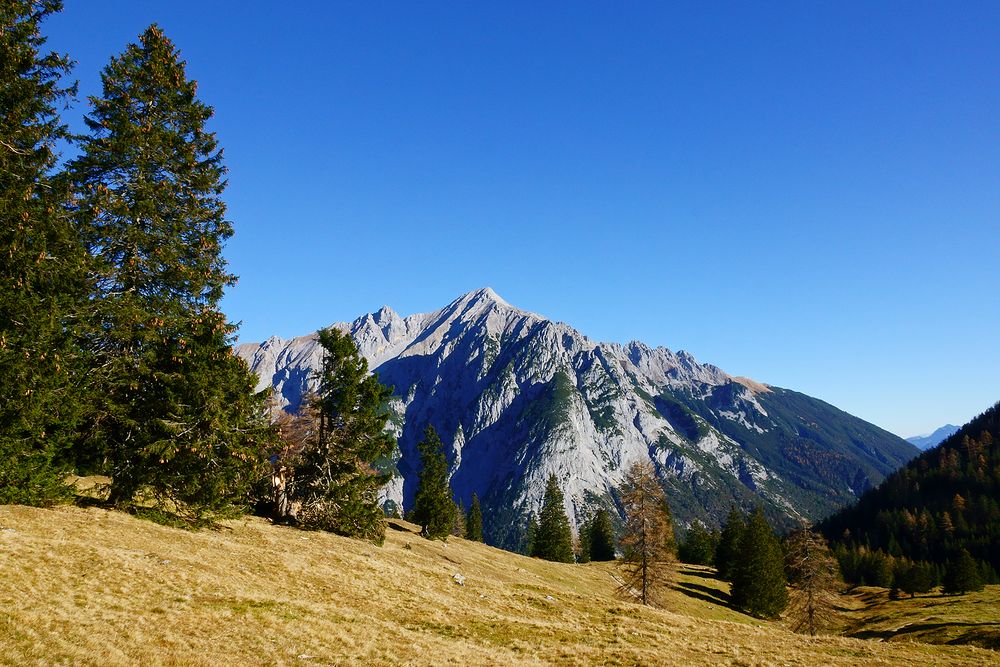 auf der Walderalm