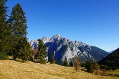 auf der Walderalm