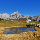 auf der Walderalm