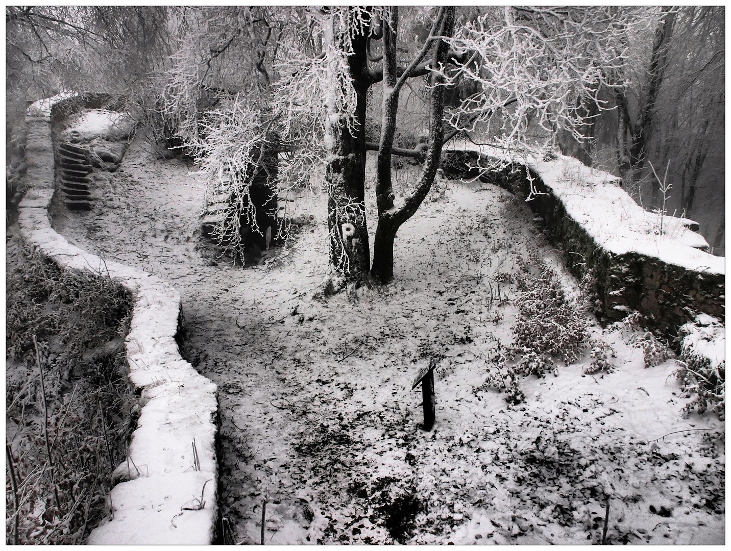 Auf der Waldsteinburg