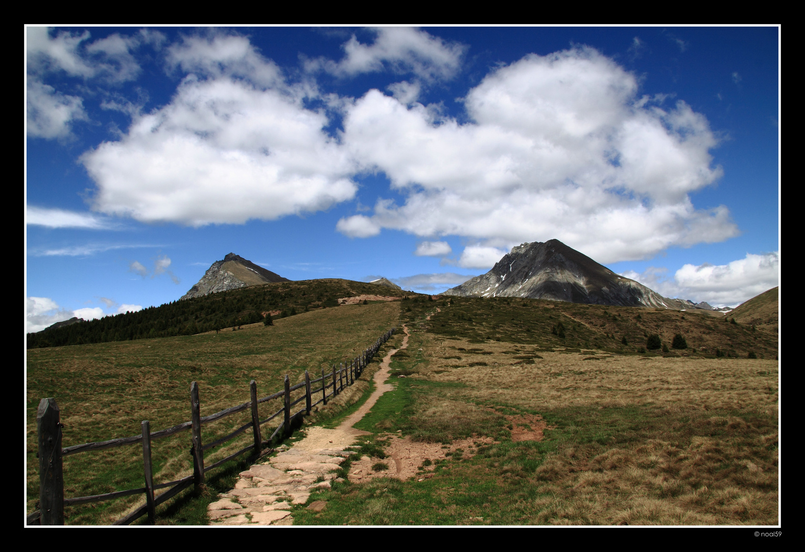 Auf der Wanderroute "Meran 2000"