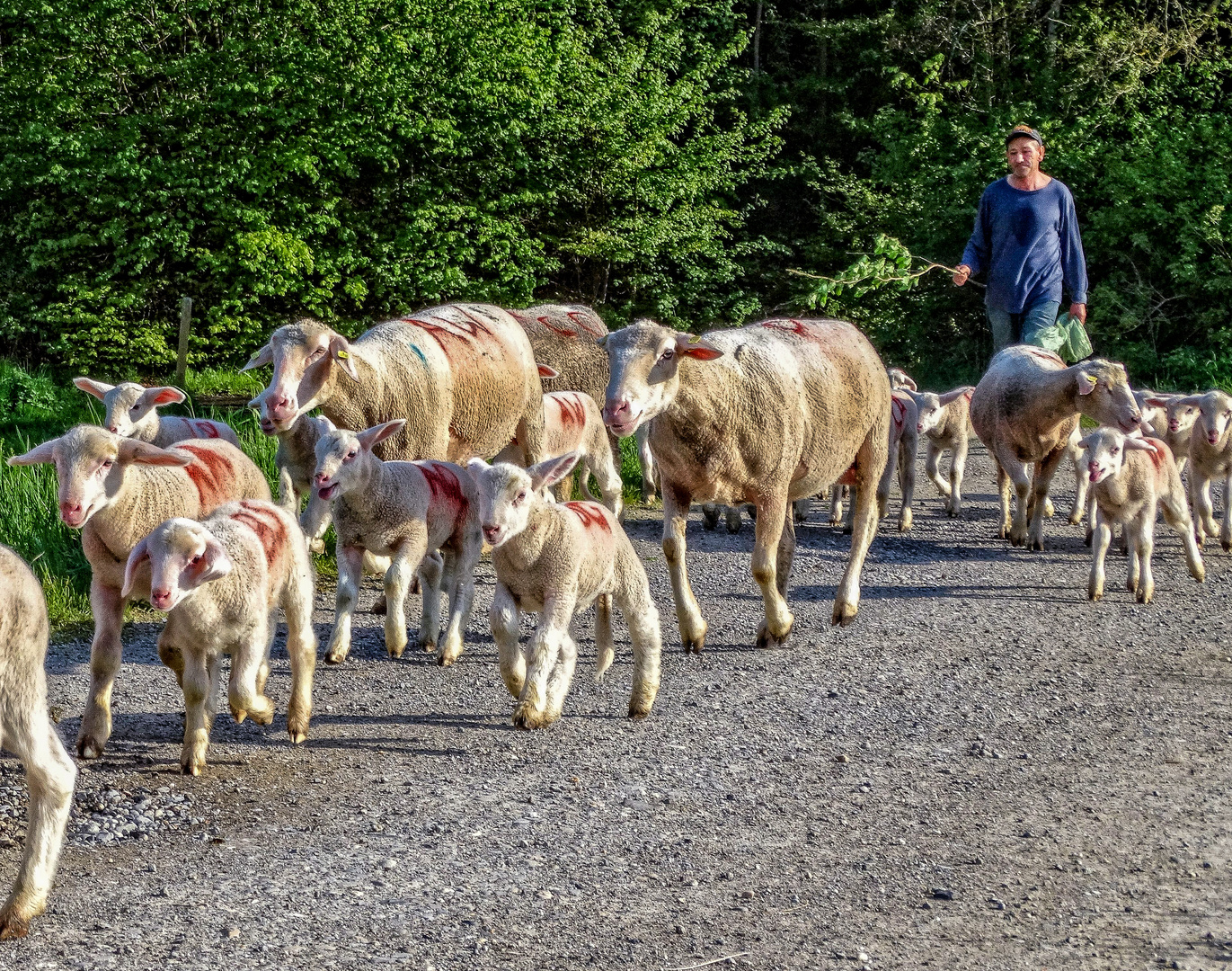 Auf der Wanderschaft