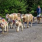 Auf der Wanderschaft