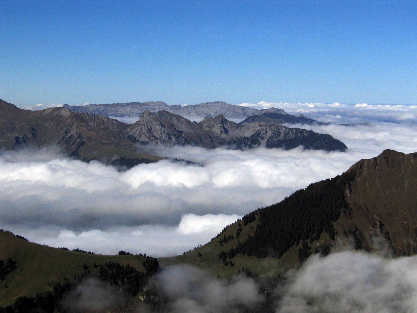 auf der Wanderung zur Älggi-Alp