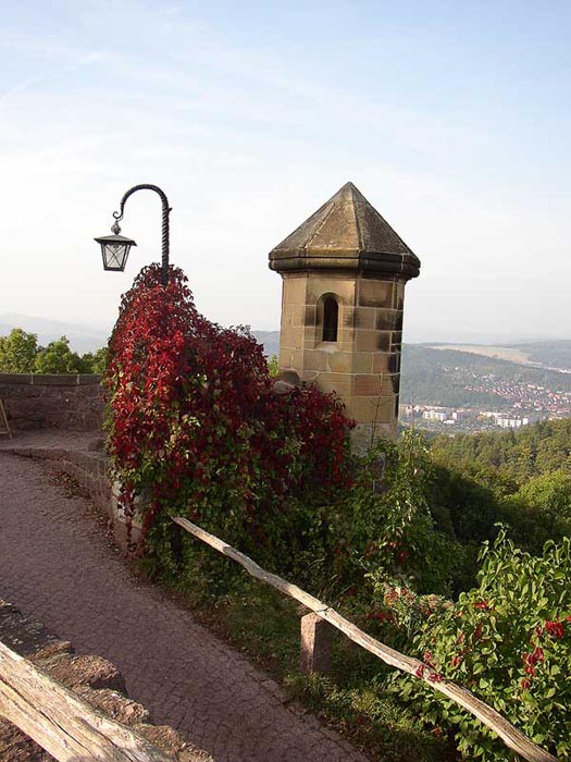 Auf der Wartburg