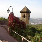 Auf der Wartburg