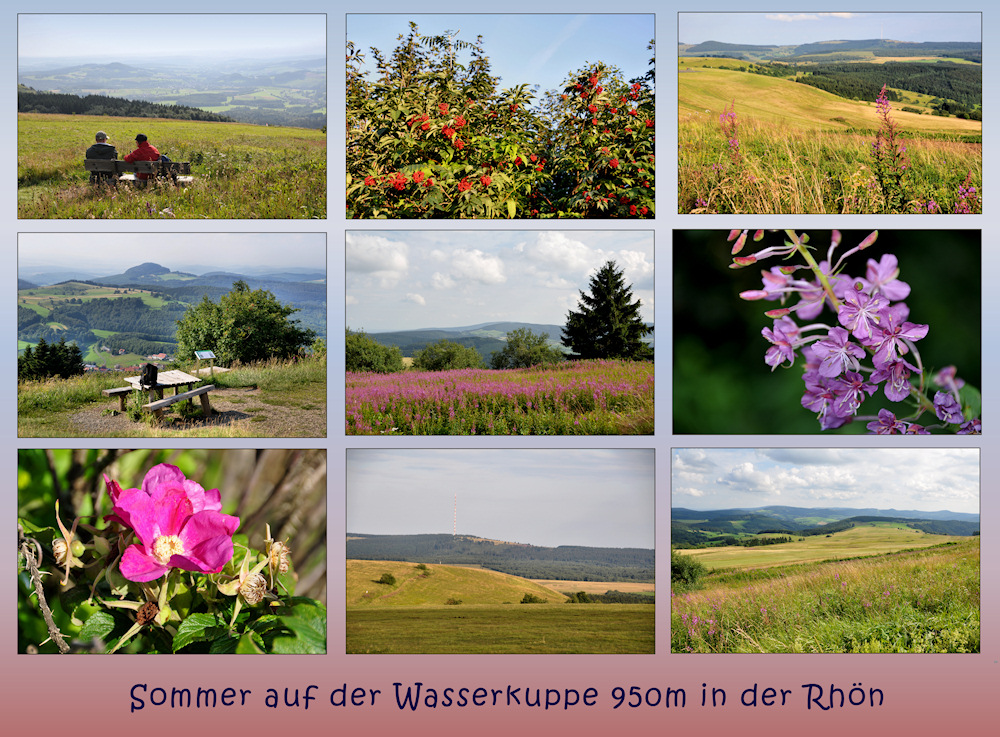 auf der Wasserkuppe / Rhön