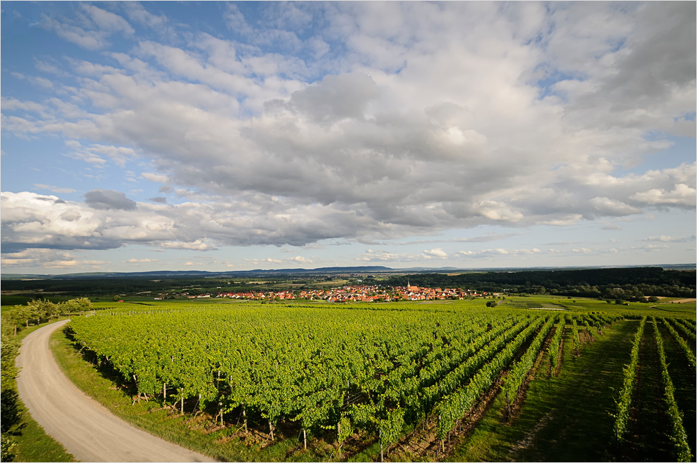 Auf der Weininsel ...