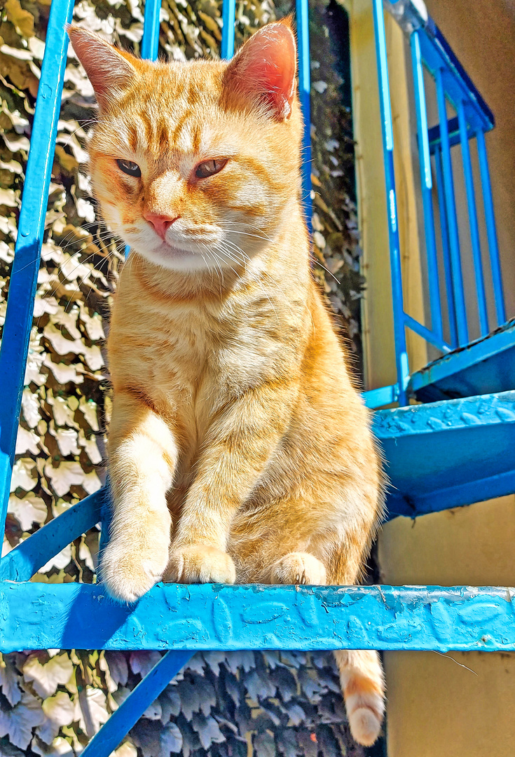 Auf der Wendeltreppe