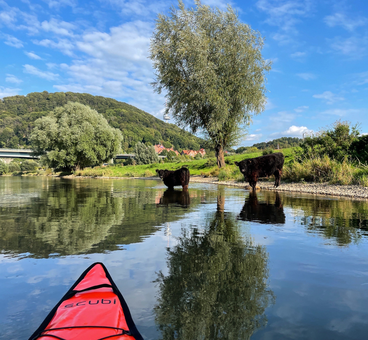 Auf der Weser