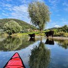 Auf der Weser