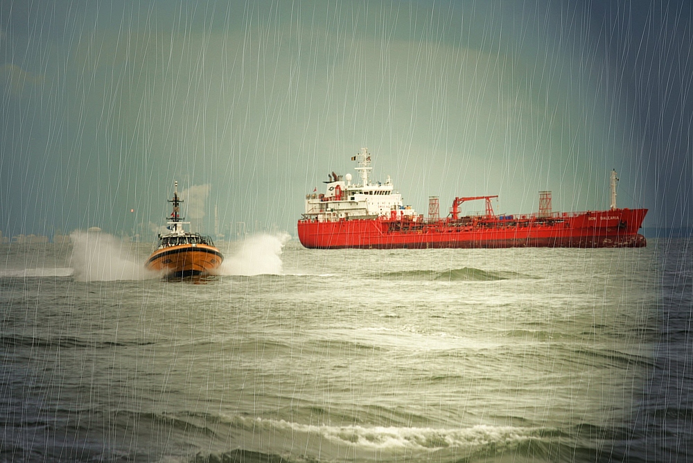 Auf der Westerschelde bei Vlissingen