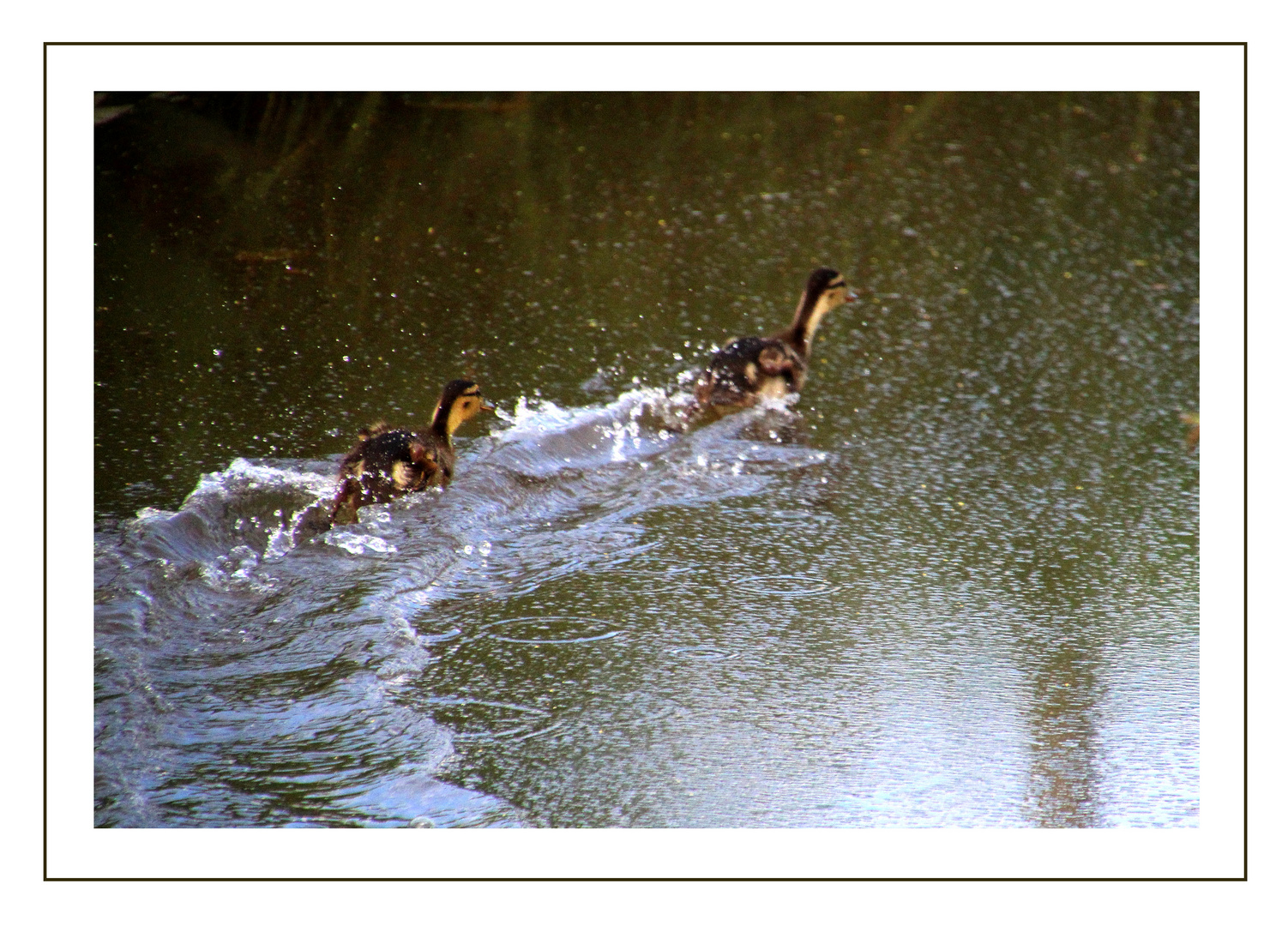 auf der Wettern ... 