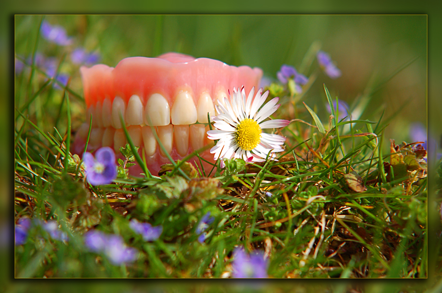 ~ Auf der Wiese haben wir gelegen... ~