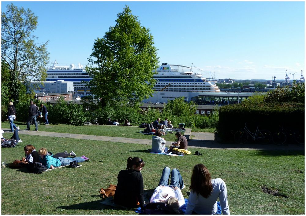 auf der wiese liegen und traumschiff gucken . .