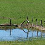 auf der Wiese steht noch das Wasser