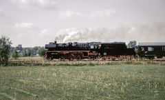 Auf der Wiese vor der Haustür