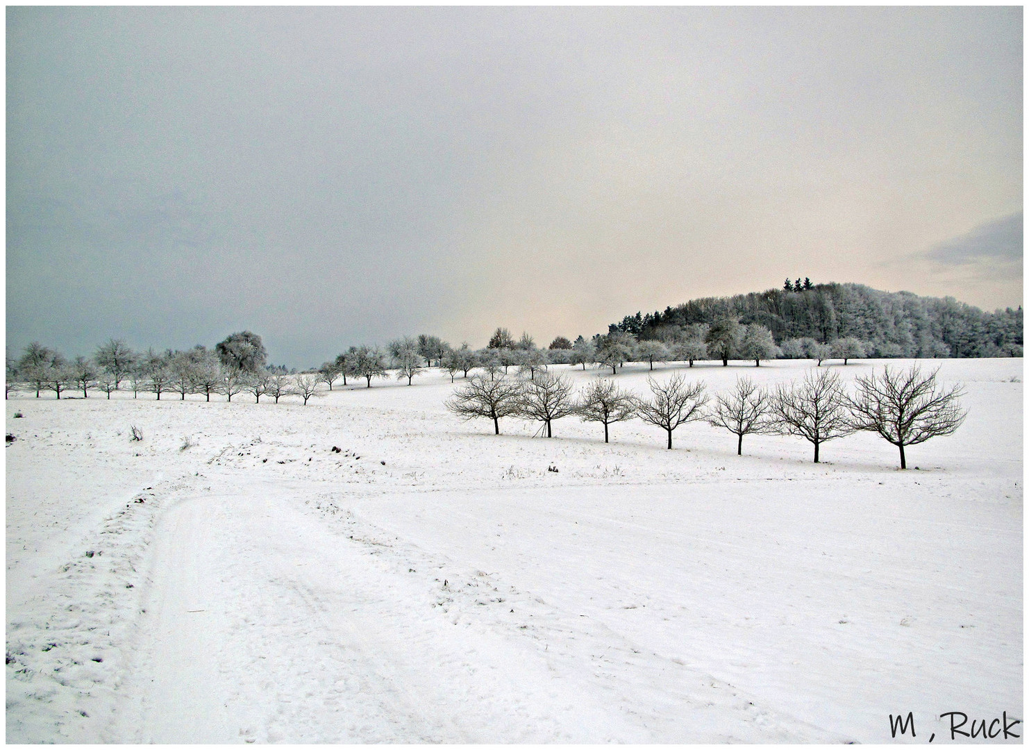 Auf der winterlichen Flur unterwegs