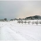 Auf der winterlichen Flur unterwegs