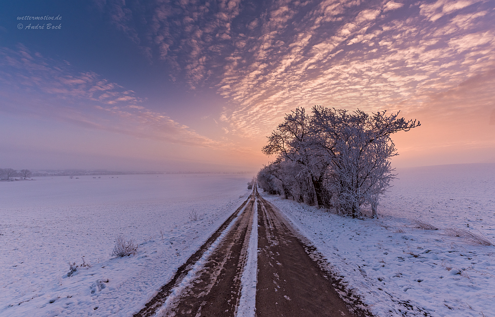 Auf der Winterstraße #2