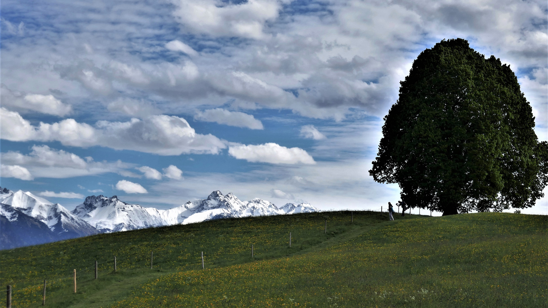 Auf der Wittelsbacher Höh