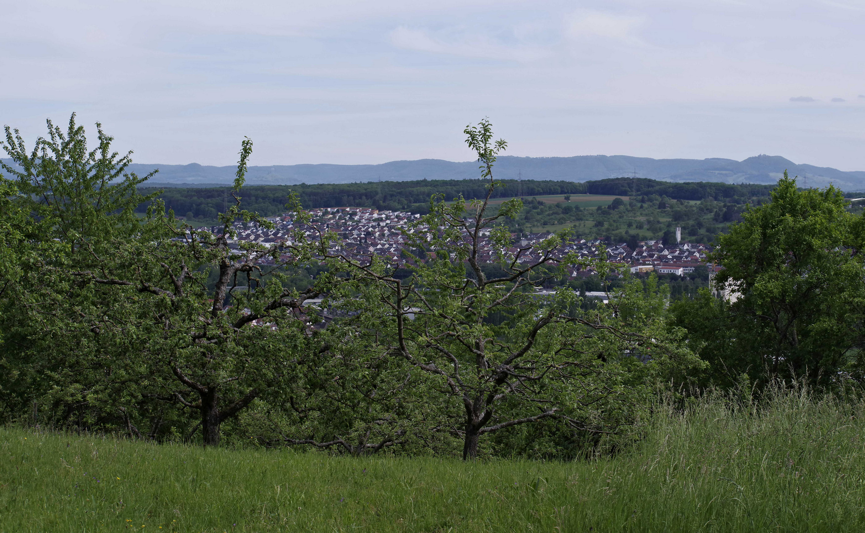 ...auf der Zeller Höhe