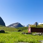 auf der Ziegenalm beim Geiranger