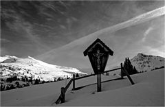 auf der Zirogalm, am Weg zur Enzianhütte