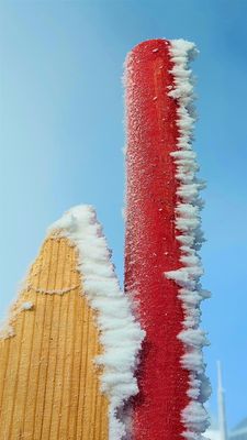 Auf der Zugspitze-Spitze